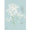 너의죄를사랑하노라(1~2완) 이아현